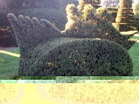 photos 2000-200902544